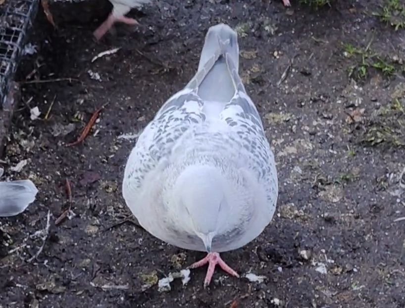 PL22-A2373 ARCHIWUM - i- MLODE -2022- Youth