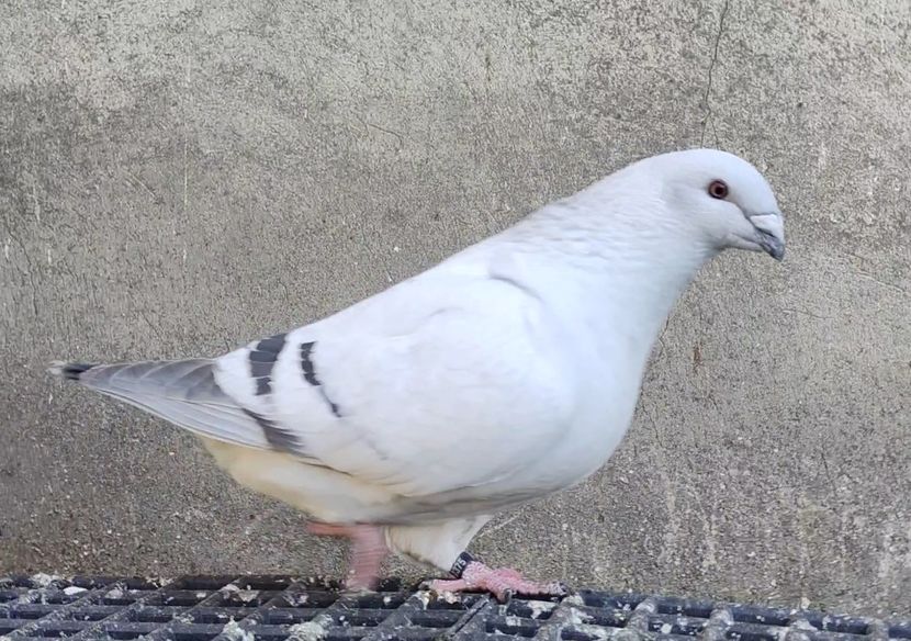 PL22-A2375 ARCHIWUM - i- MLODE -2022- Youth