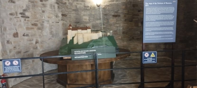  - Lacetateadescaunamoldovei