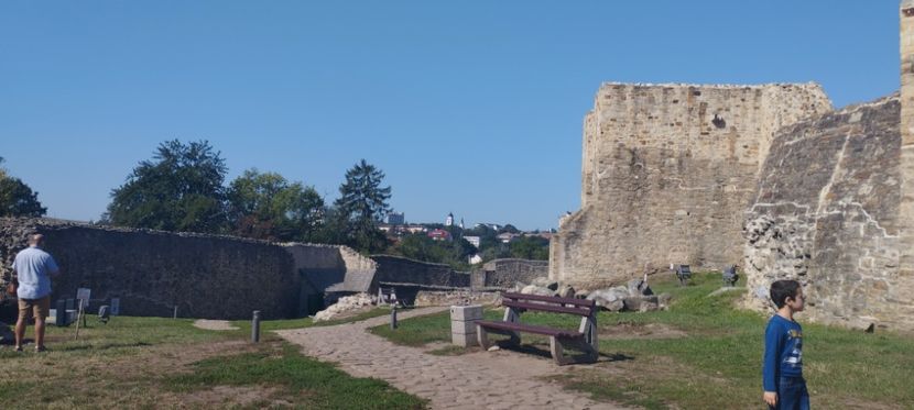  - Lacetateadescaunamoldovei