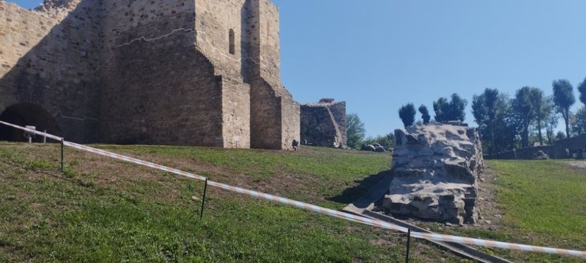  - Lacetateadescaunamoldovei
