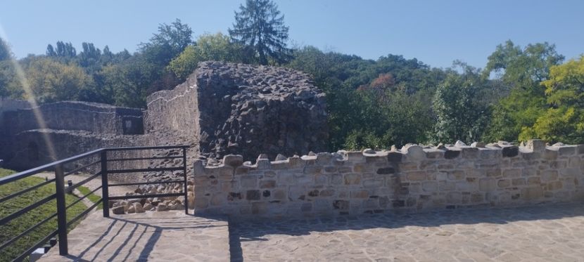  - Lacetateadescaunamoldovei