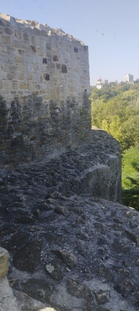 - Lacetateadescaunamoldovei