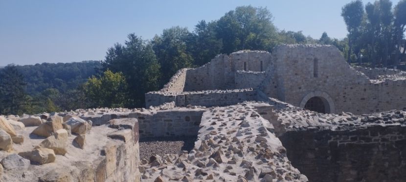  - Lacetateadescaunamoldovei