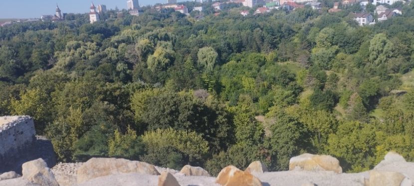  - Lacetateadescaunamoldovei