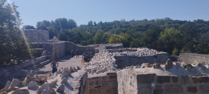  - Lacetateadescaunamoldovei