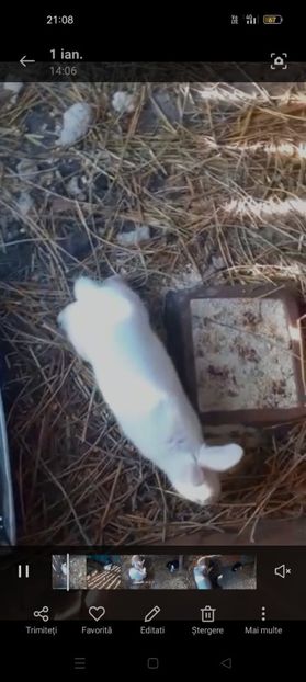 Screenshot_2023-01-04-21-08-29-09_99c04817c0de5652397fc8b56c3b3817 - Iepuri hycole