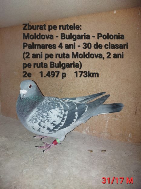  - H DE VANZARE - PRETURI MICI