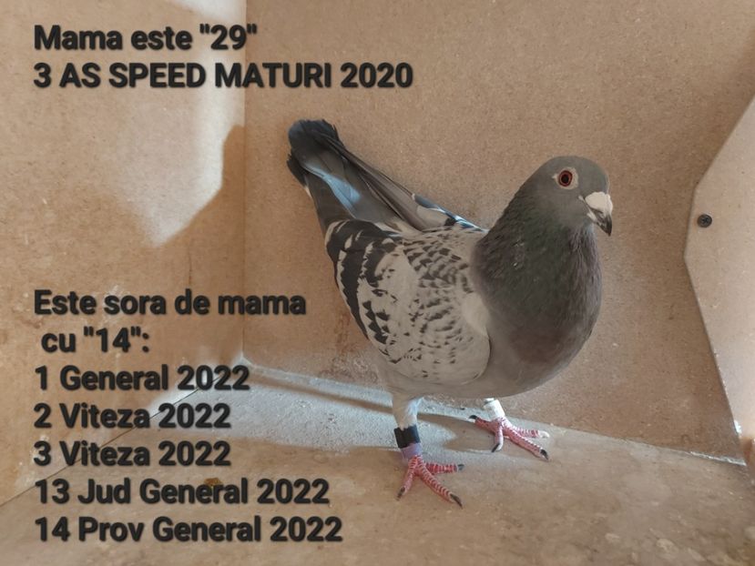  - VANDUTI 2018-2019-2020