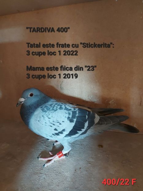  - H DE VANZARE - PRETURI MICI