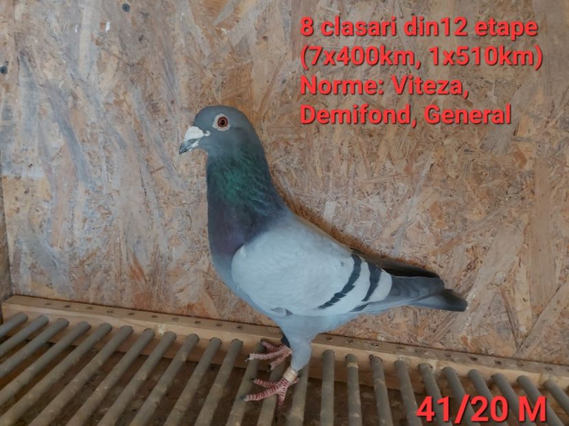  - H DE VANZARE - PRETURI MICI