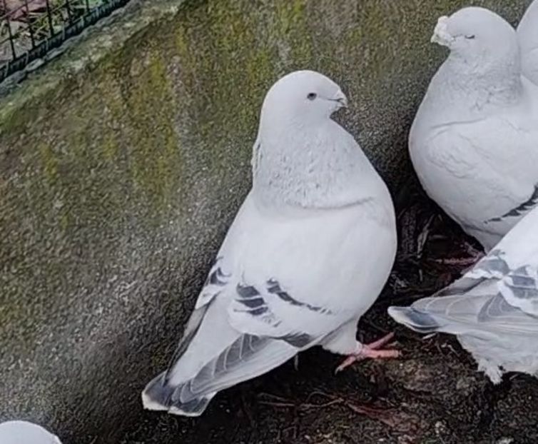 PL/22-A2386 ARCHIWUM - i- MLODE -2022- Youth