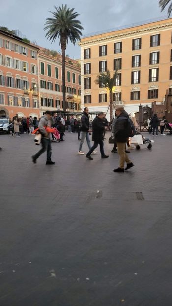 6E2337DD-B7D3-4B2A-B2EA-E51AD4403913 - 2023JAN05ROMA3