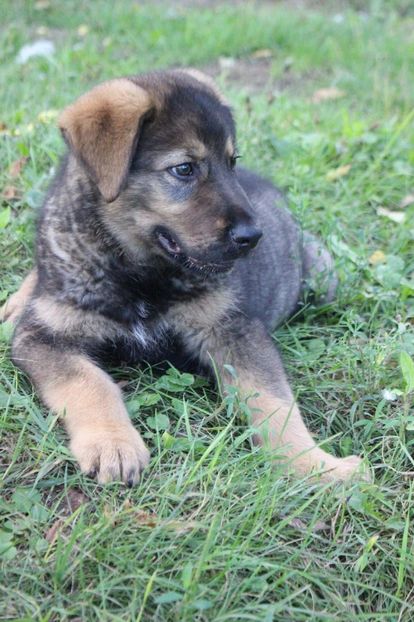 IMG-20230102-WA0062 - Rhaegar