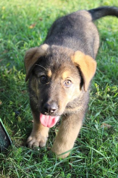 IMG-20230102-WA0061 - Rhaegar