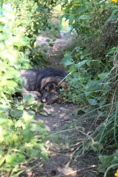 IMG-20230102-WA0060 - Rhaegar