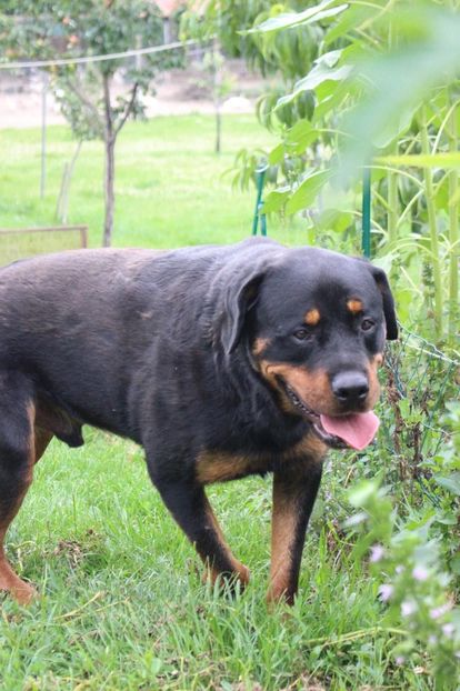 IMG-20230102-WA0055 - Brego