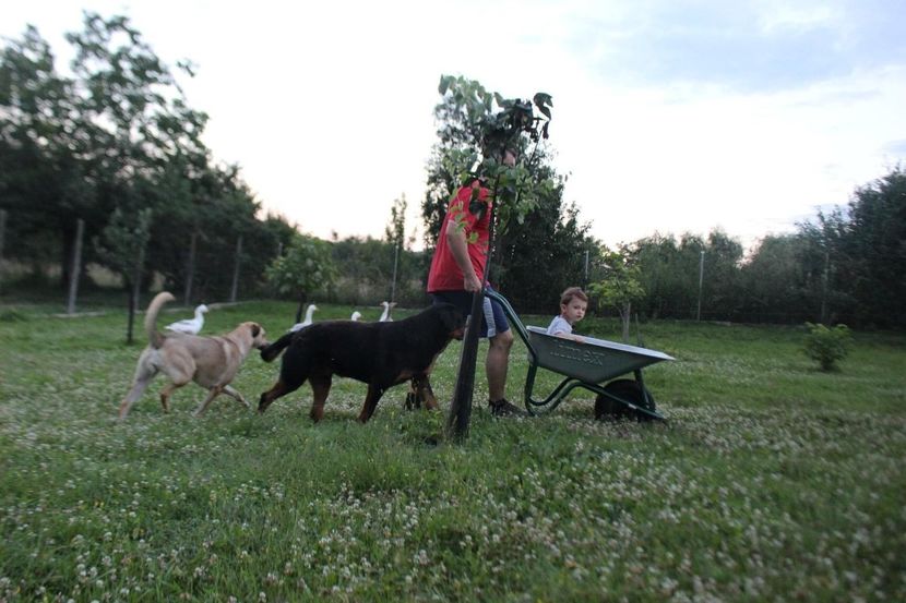 IMG-20230102-WA0056 - Brego