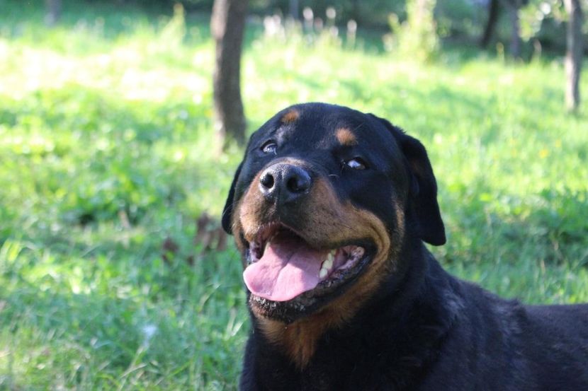 IMG-20230102-WA0057 - Brego