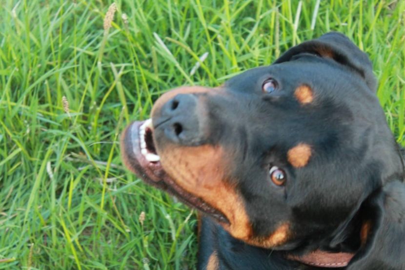 IMG-20230102-WA0050 - Brego