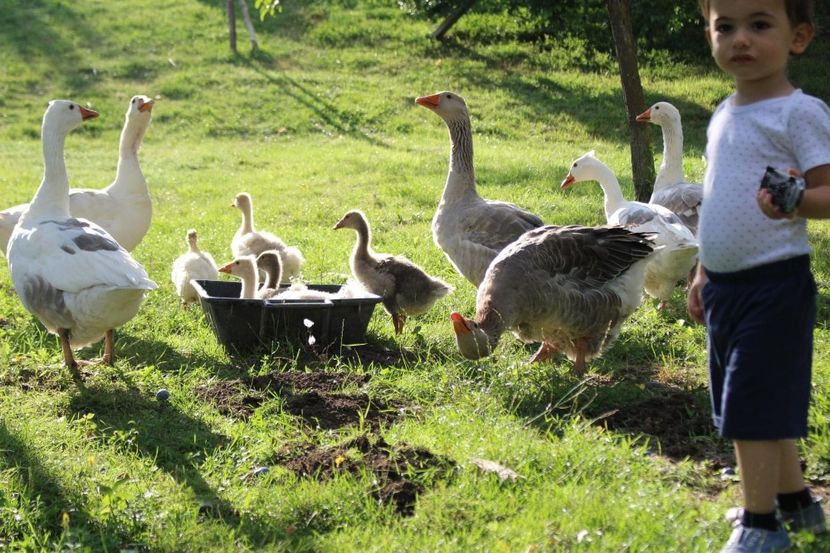 IMG-20230102-WA0059 - cotetul si pasarile ce se adapostesc in el