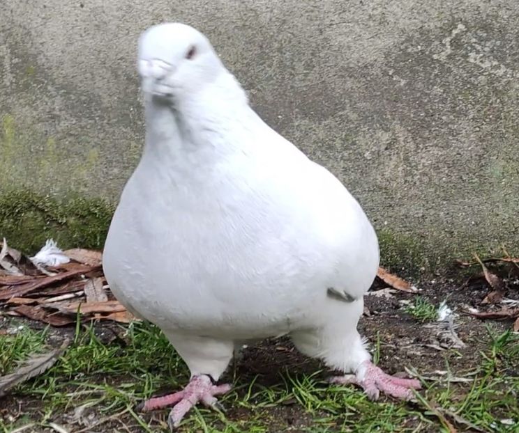 69 ARCHIWUM - i- MLODE -2022- Youth