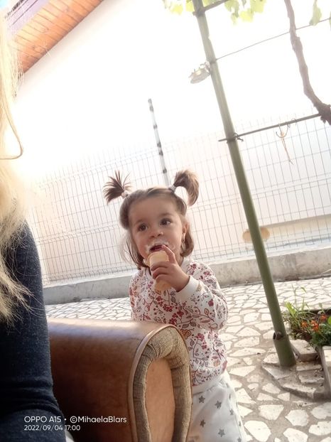  - Photo 01