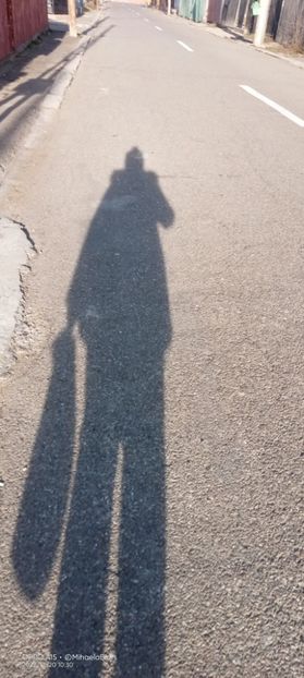  - Photo 01