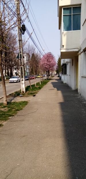  - 02 Poze Noi 2020
