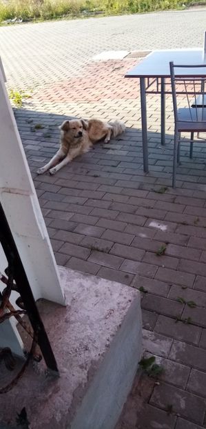  - 09Mimi