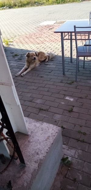  - 09Mimi