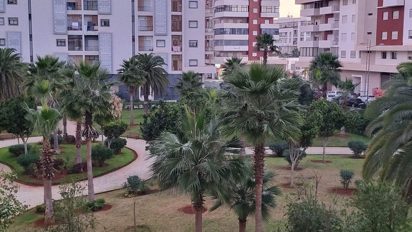 9BAC84F3-8DCE-403A-8F5D-090AEC941544 - 2023JAN08MARAKO