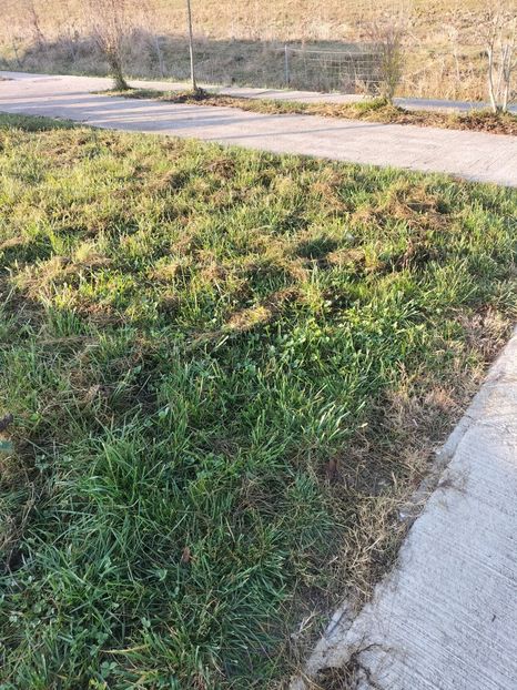 IMG20221112084737 - 2022 CASTELUL CORVINILOR 12 noiembrie