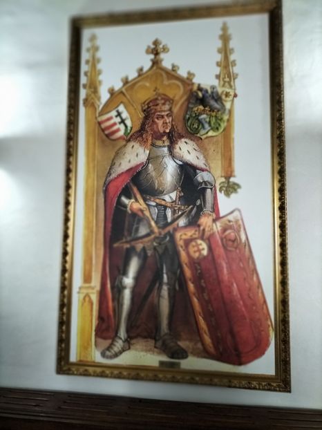 IMG20221112114059 - 2022 CASTELUL CORVINILOR 12 noiembrie