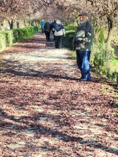 IMG20221112140638 - 2022 CASTELUL CORVINILOR 12 noiembrie