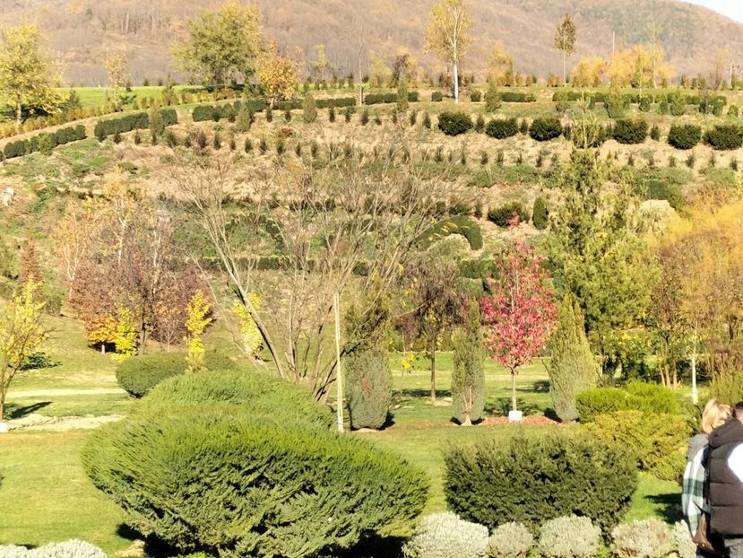 IMG20221112141242 - 2022 CASTELUL CORVINILOR 12 noiembrie