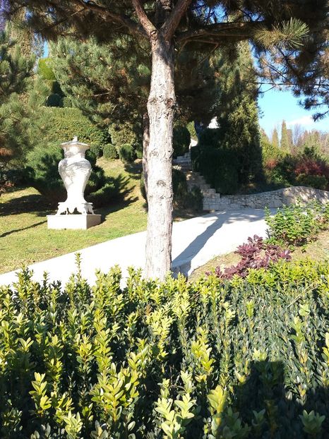 IMG20221112141921 - 2022 CASTELUL CORVINILOR 12 noiembrie