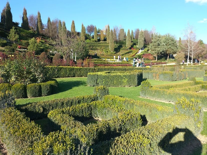 IMG20221112142408 - 2022 CASTELUL CORVINILOR 12 noiembrie