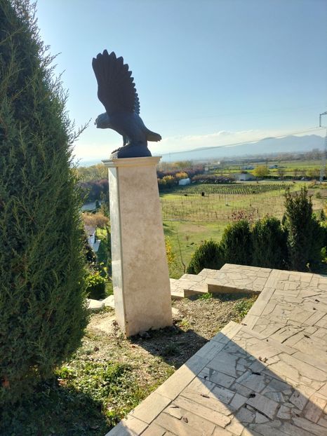 IMG20221112144317 - 2022 CASTELUL CORVINILOR 12 noiembrie