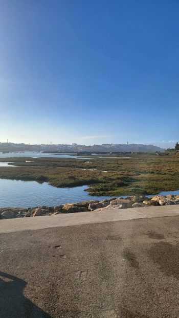 783C514A-0836-4C29-A675-73ABC3D8BBAD - 2023JAN09MOROCCO