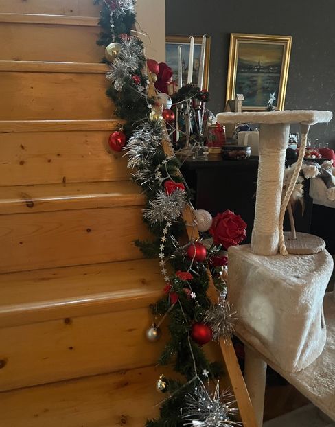 AA1C989B-2A4D-4A05-8435-AA4E965F7779 - Craciun