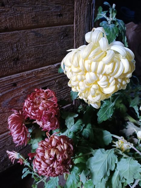 Img.2023.01.04 - Calendarul