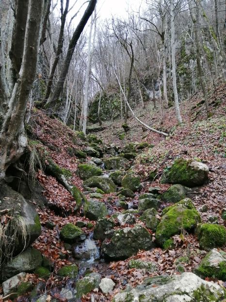  - Cheile Varghisului 2022