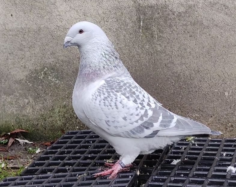 PL22-A2373 ARCHIWUM - i- MLODE -2022- Youth