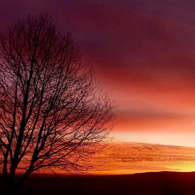  - Universul si Natura