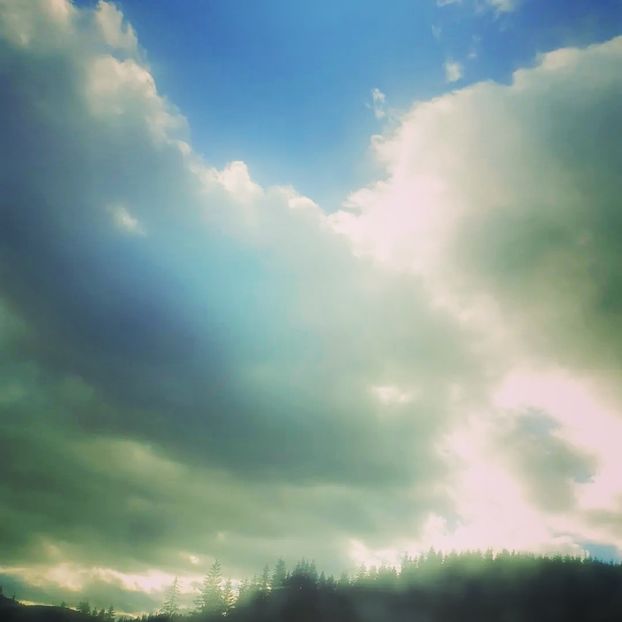  - Universul si Natura