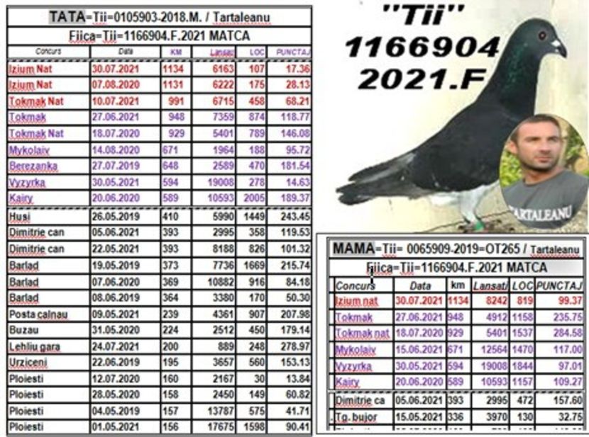 4.TII - 2 MATCA 2023