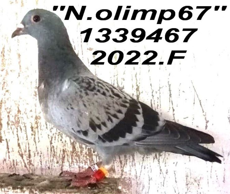 2022.1339467.F+ - 2 MATCA 2023
