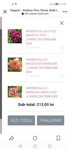 Screenshot_20230110_112157_com.facebook.katana - Achiziții 2023