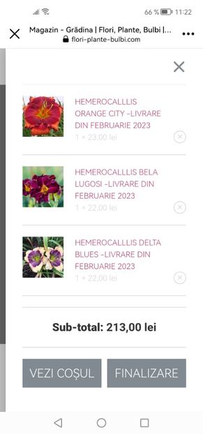 Screenshot_20230110_112213_com.facebook.katana - Achiziții 2023